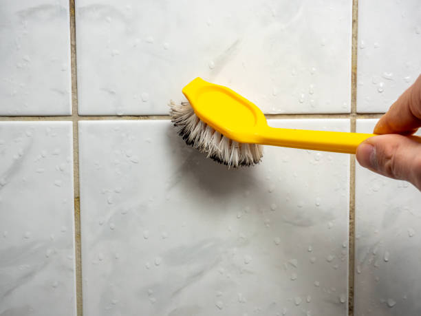 Best Residential Mold Remediation in Quail Creek, TX