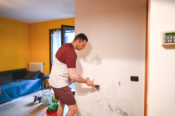 Professional Mold Remediation in Quail Creek, TX